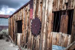 Bodie -8806